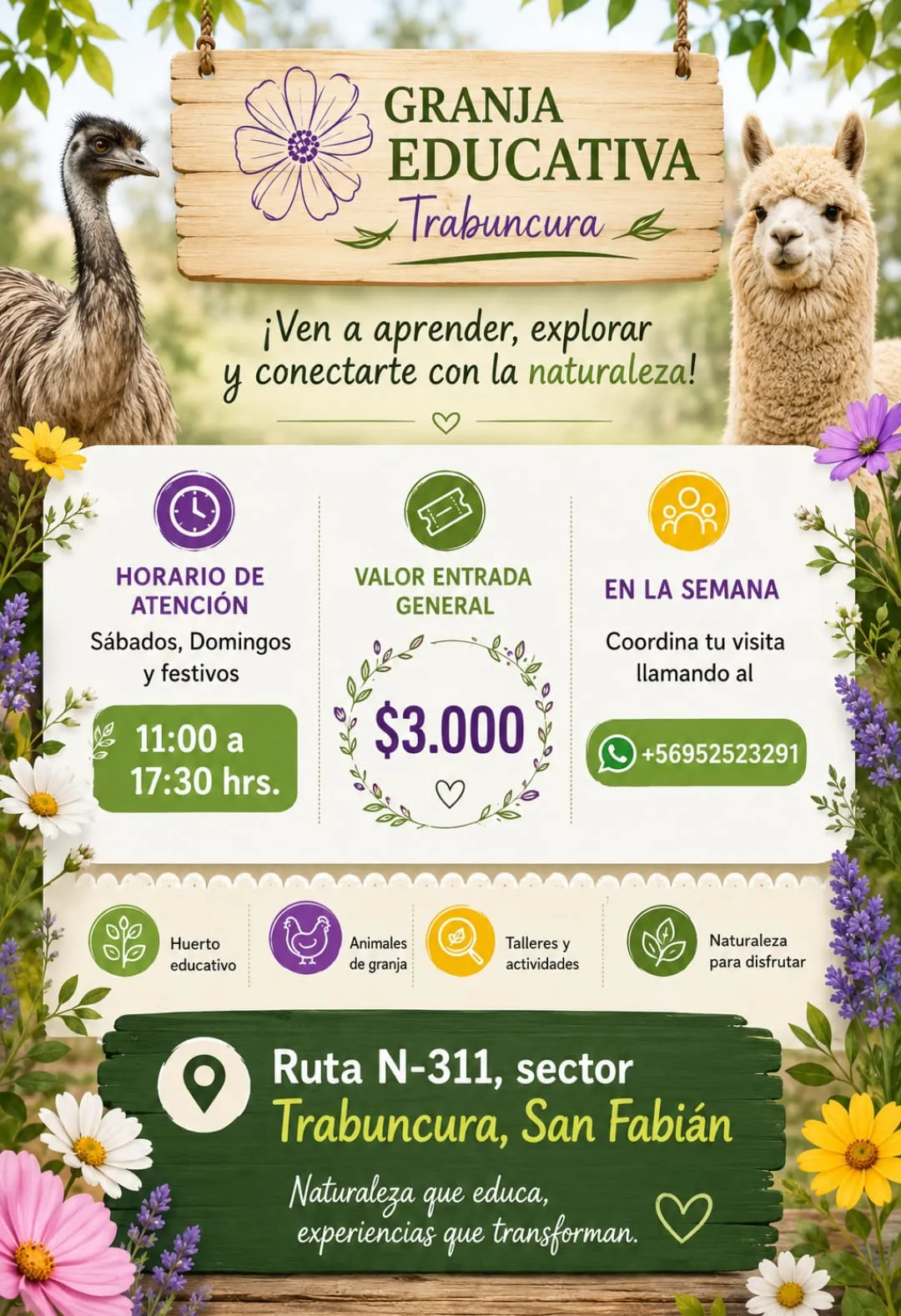 Flyer de la Granja Educativa Trabuncura con horarios, valores y ubicación